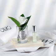 COTE NOIRE SCENTED FLOWERS - TRANSPARENT - GARDENIA